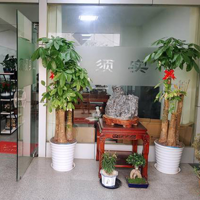 企业风采